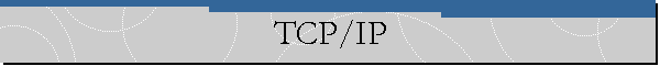TCP/IP