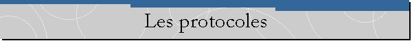 Les protocoles